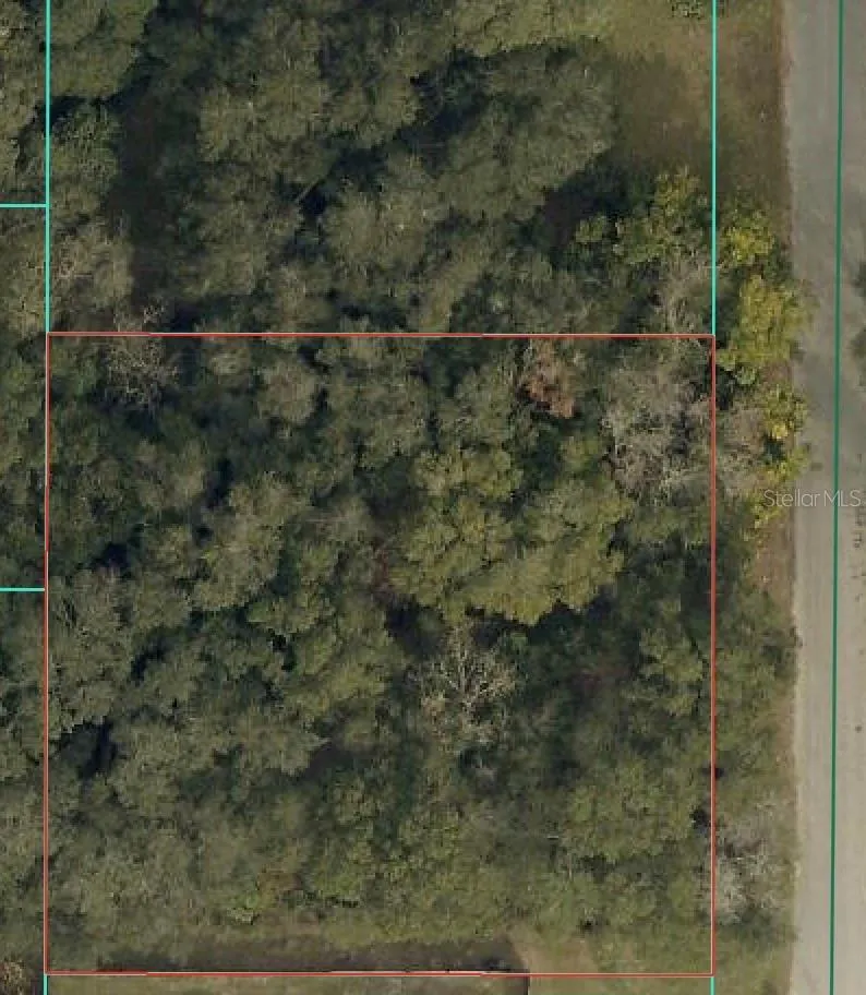 TBD SE 94 COURT Summerfield, FL 34491