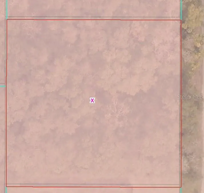 TBD SE 94 COURT Summerfield, FL 34491