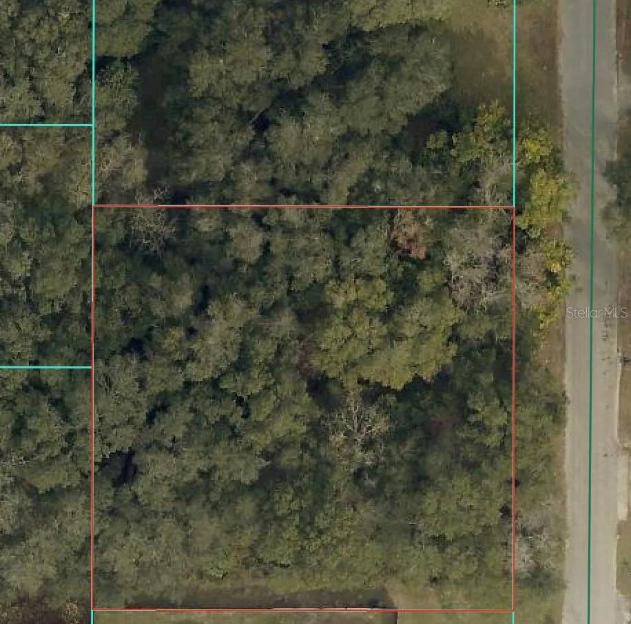 TBD SE 94 COURT Summerfield, FL 34491