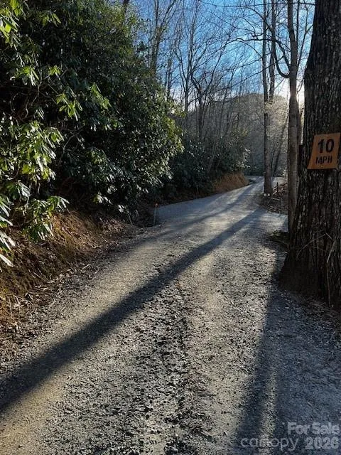 9999 Tessie Lane Black Mountain, NC 28711