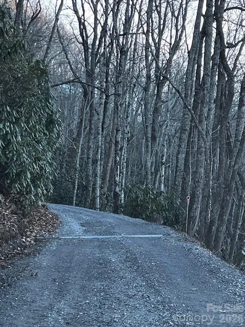 9999 Tessie Lane Black Mountain, NC 28711