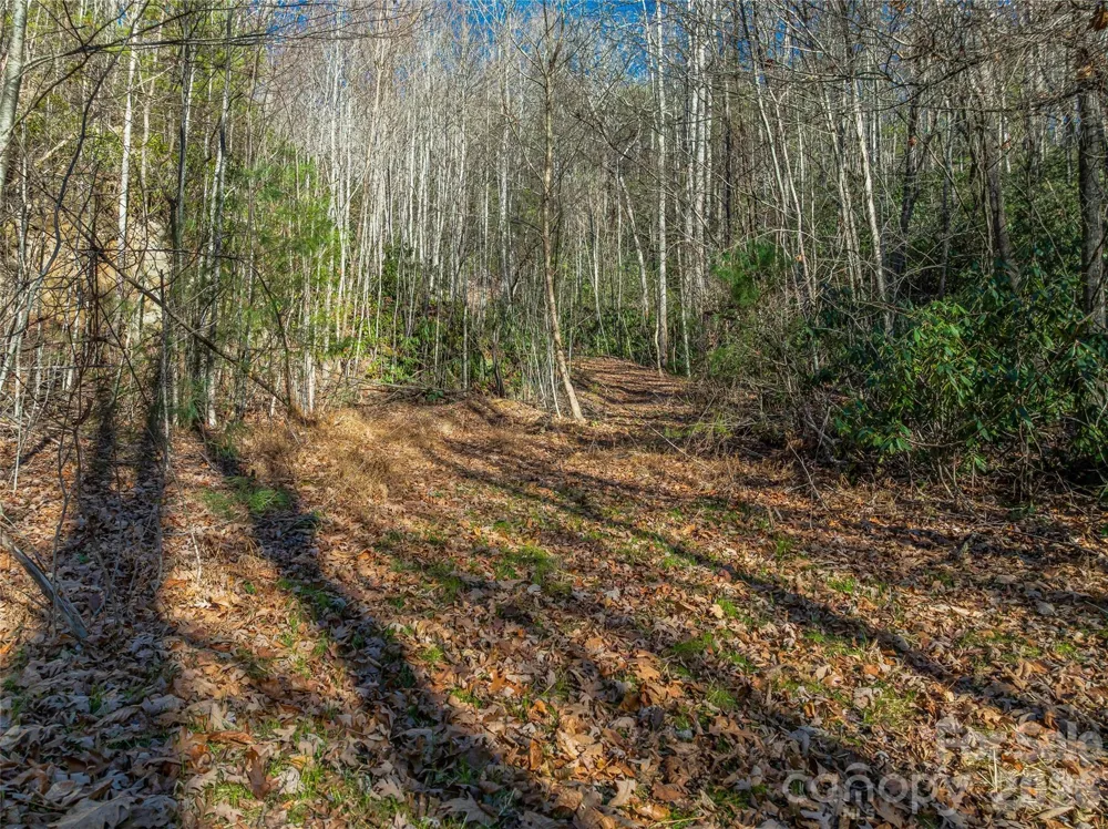 9999 Coy-Evie Lane Laurel Park, NC 28739