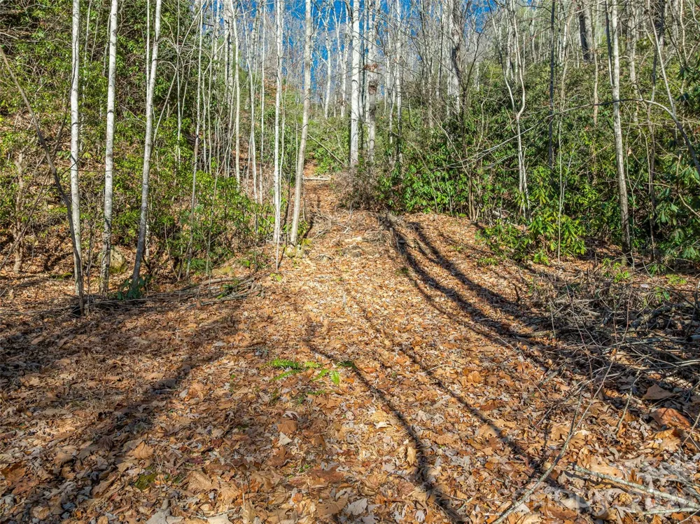 9999 Coy-Evie Lane Laurel Park, NC 28739