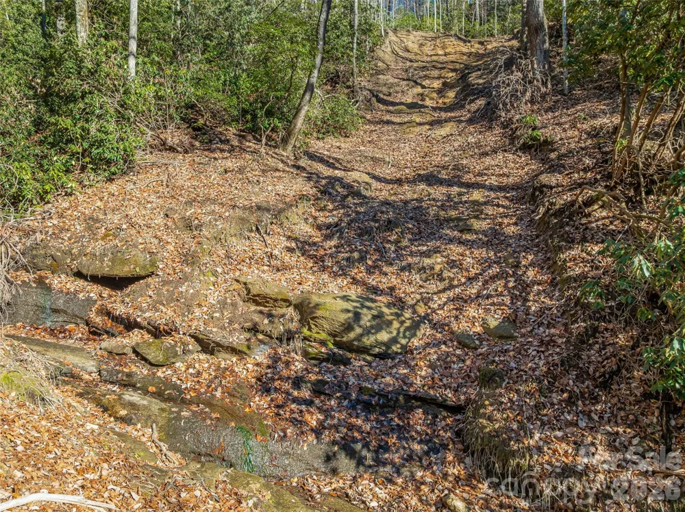 9999 Coy-Evie Lane Laurel Park, NC 28739