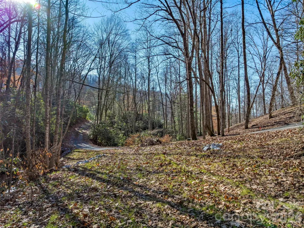 9999 Coy-Evie Lane Laurel Park, NC 28739