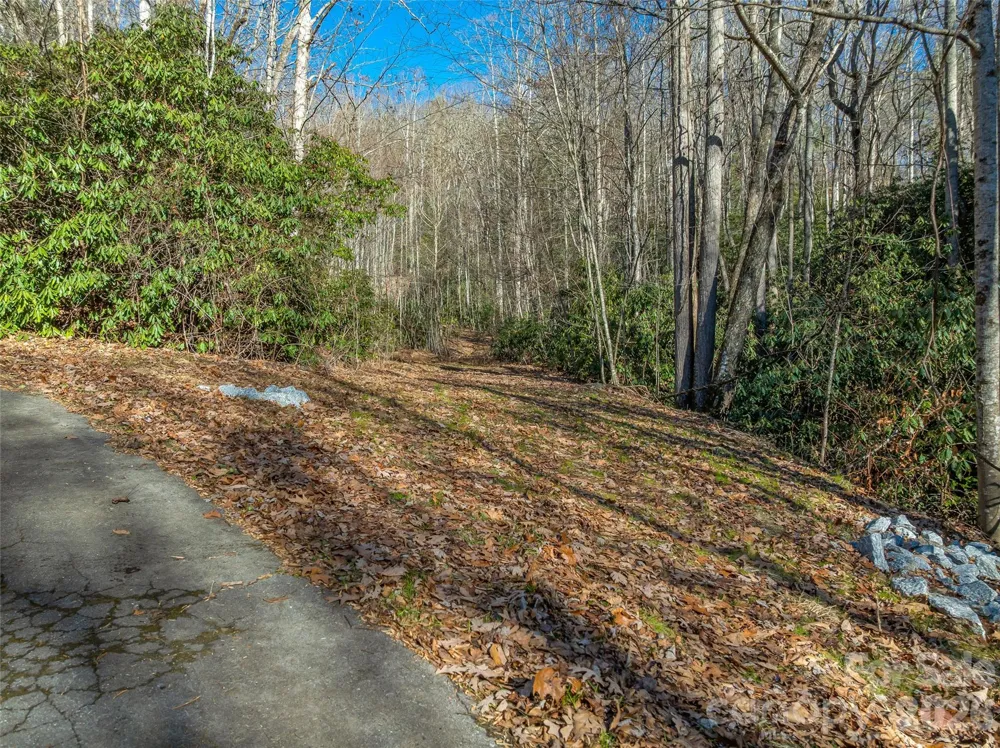 9999 Coy-Evie Lane Laurel Park, NC 28739