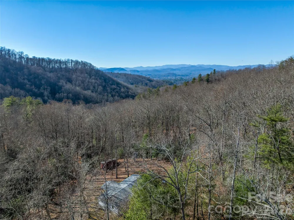 9999 Coy-Evie Lane Laurel Park, NC 28739