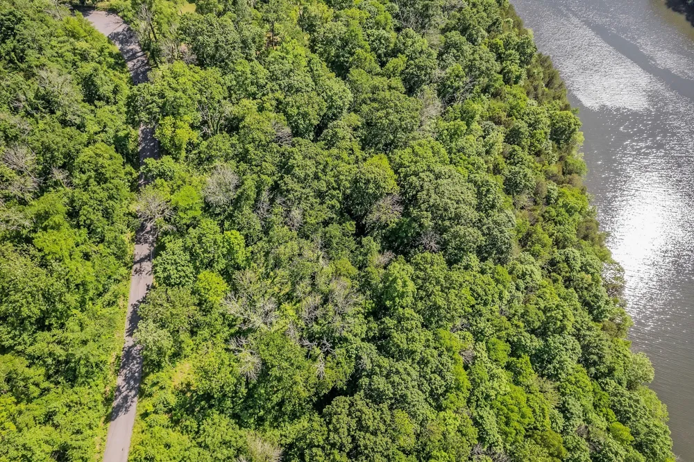 0 Harbor Pointe Silver Point, TN 38582