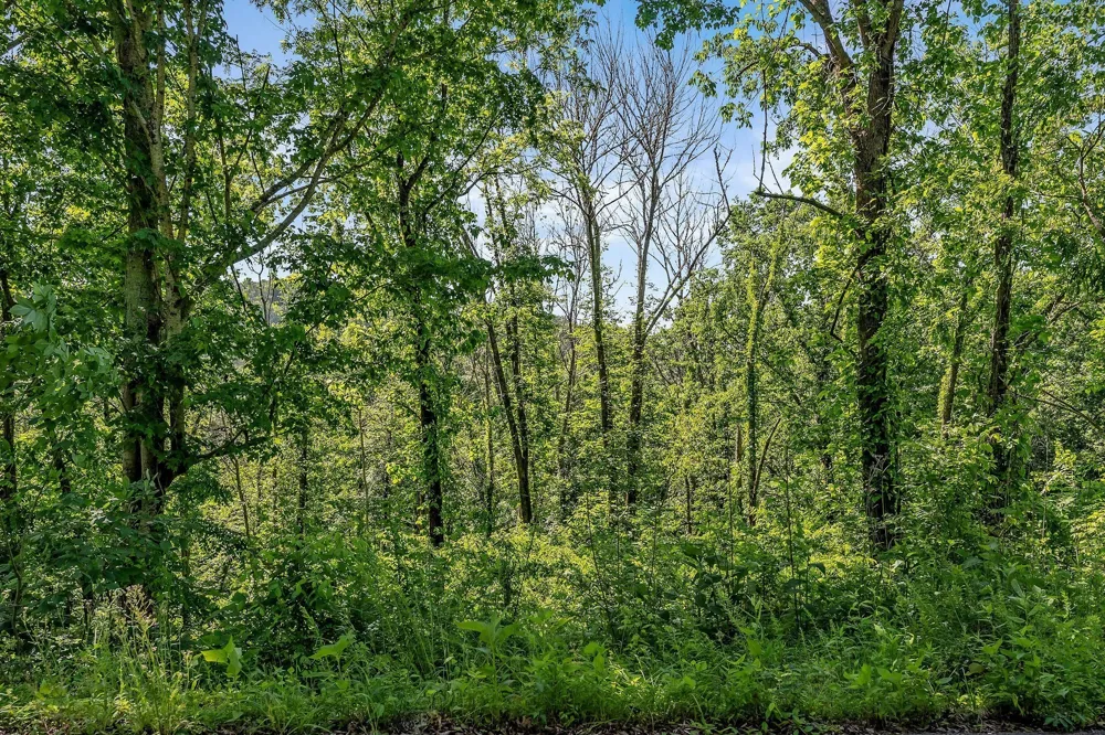 0 Harbor Pointe Silver Point, TN 38582