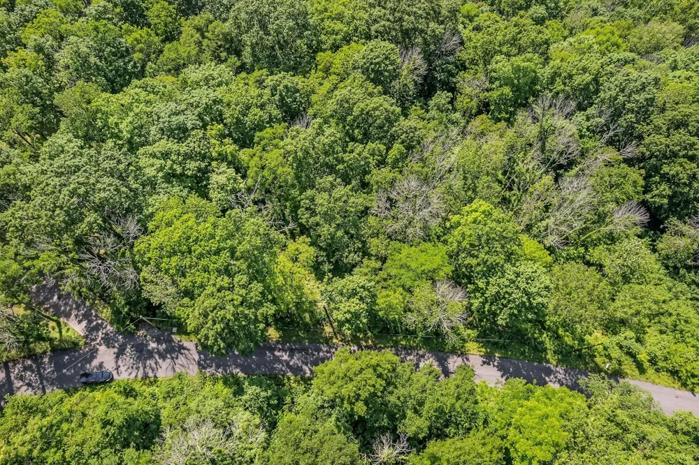0 Harbor Pointe Silver Point, TN 38582