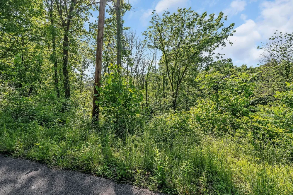0 Harbor Pointe Silver Point, TN 38582