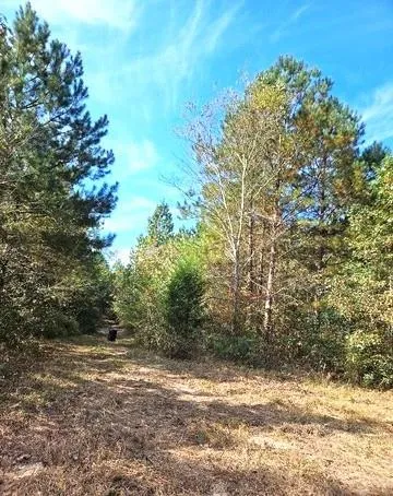 0 Fruit Farm Road Summerville, GA 30747