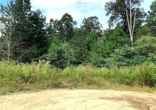 0 Fruit Farm Road Summerville, GA 30747