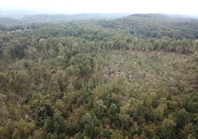 0 Fruit Farm Road Summerville, GA 30747