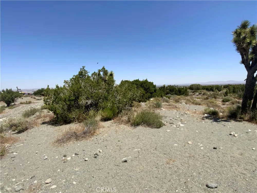 Phelan Pinon Hills, CA 92372