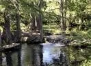 190 North Contour Drive Spring Branch, TX 78070