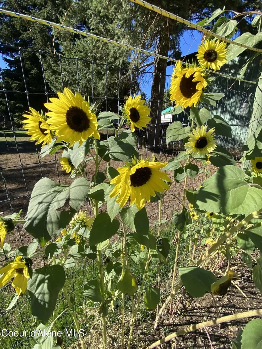 7088 Colfax Street Dalton Gardens, ID 83815