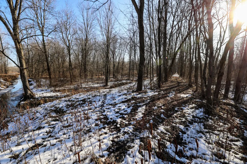 1767 Flanders Road Charlotte, MI 48813