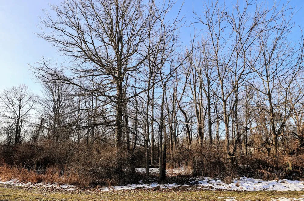 1767 Flanders Road Charlotte, MI 48813