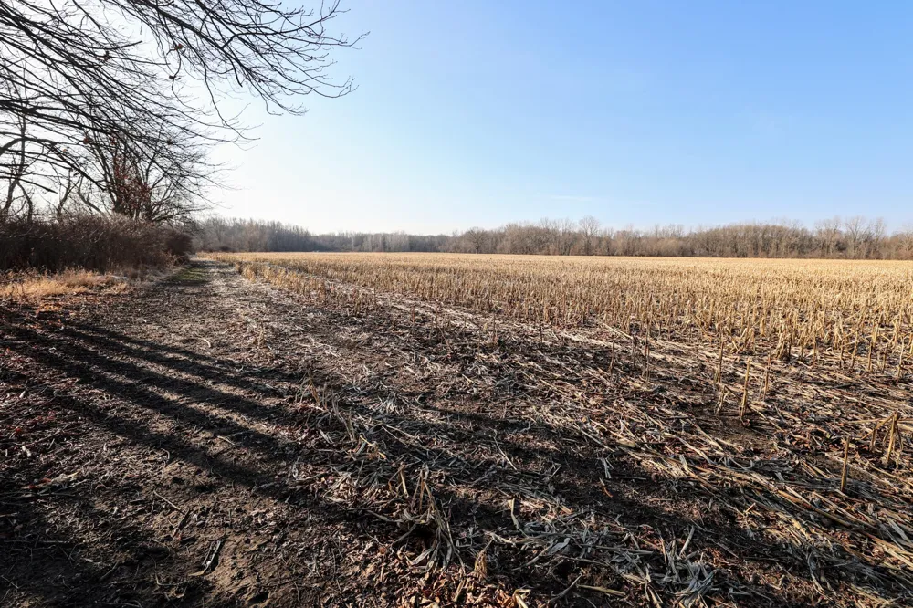1767 Flanders Road Charlotte, MI 48813