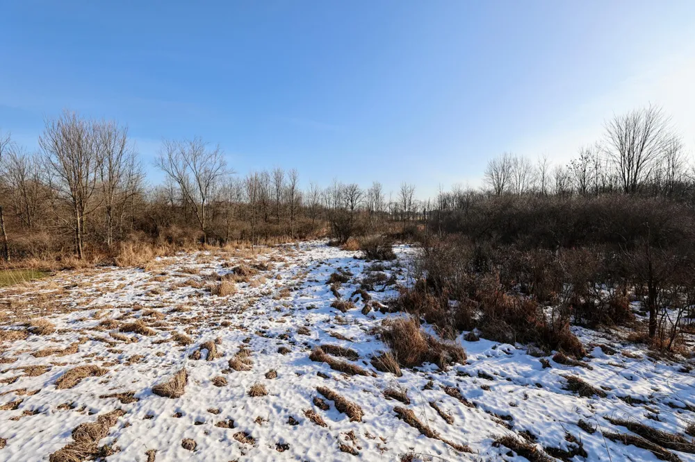 1767 Flanders Road Charlotte, MI 48813