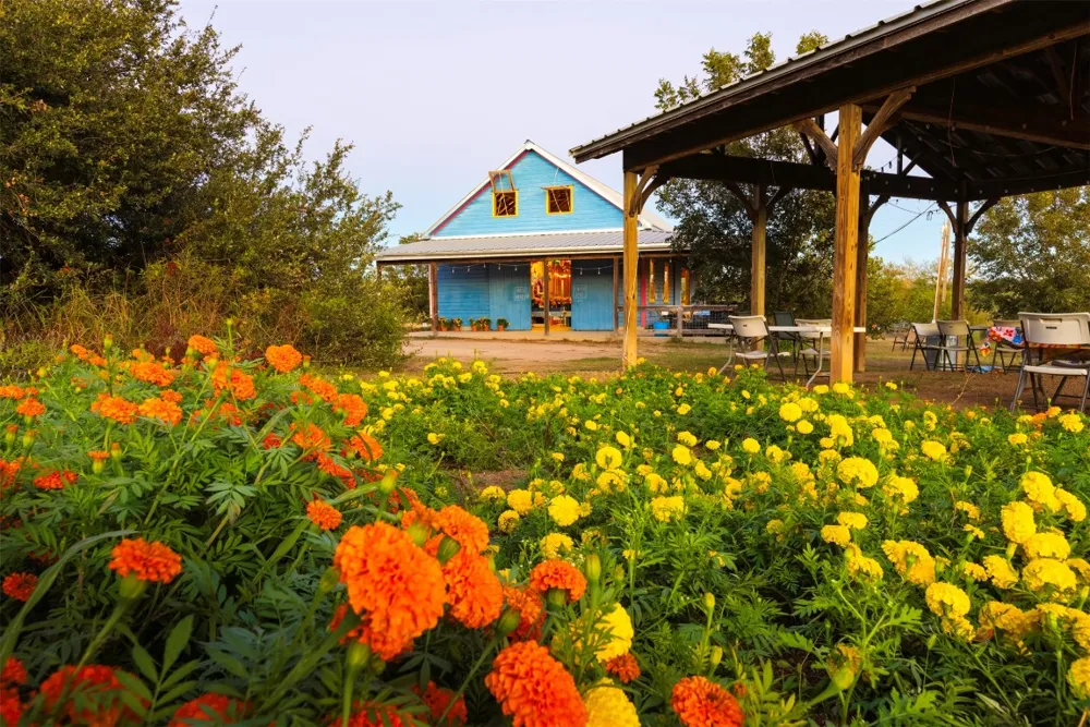 13977 FM 2325 Blanco, TX 78606