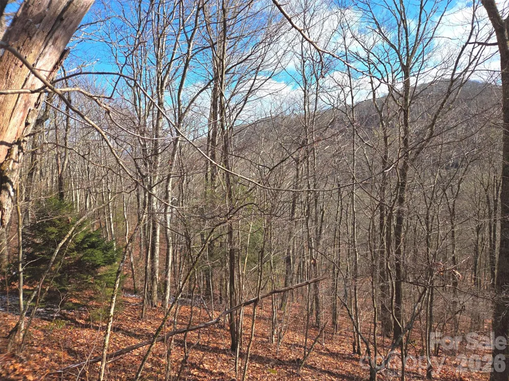 220 Sky Drive #PT-11 Maggie Valley, NC 28751