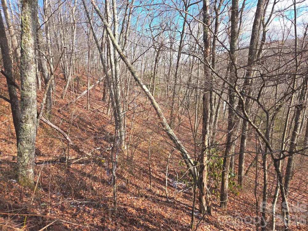220 Sky Drive #PT-11 Maggie Valley, NC 28751