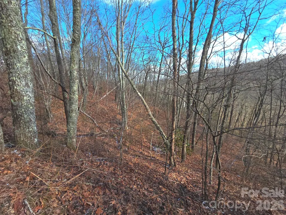 220 Sky Drive #PT-11 Maggie Valley, NC 28751
