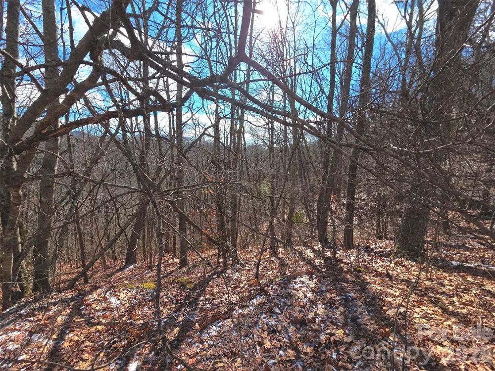 220 Sky Drive #PT-11 Maggie Valley, NC 28751