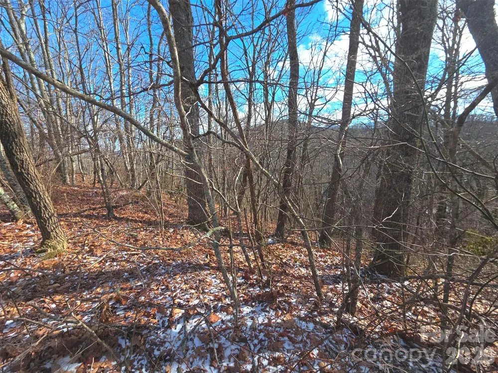 220 Sky Drive #PT-11 Maggie Valley, NC 28751
