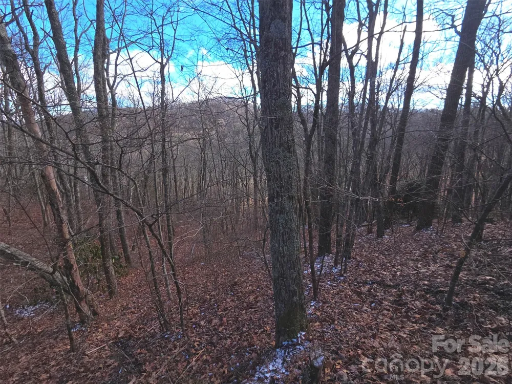 220 Sky Drive #PT-11 Maggie Valley, NC 28751