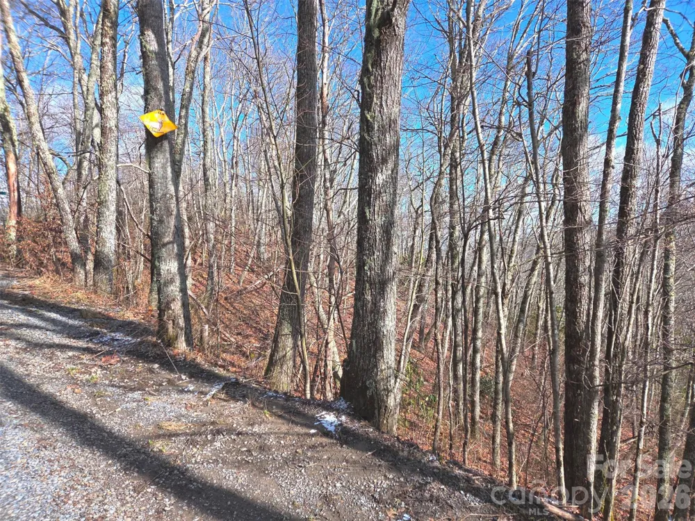 220 Sky Drive #PT-11 Maggie Valley, NC 28751