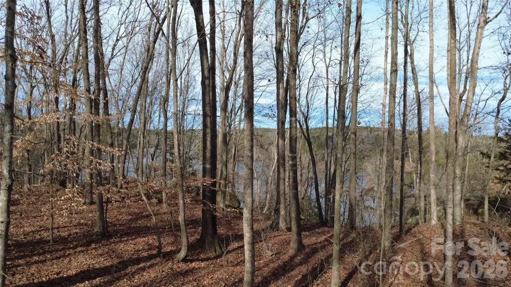 3111 Catawba Road Great Falls, SC 29055