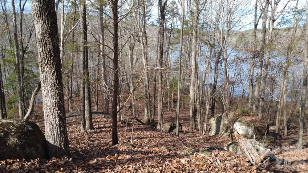 3111 Catawba Road Great Falls, SC 29055