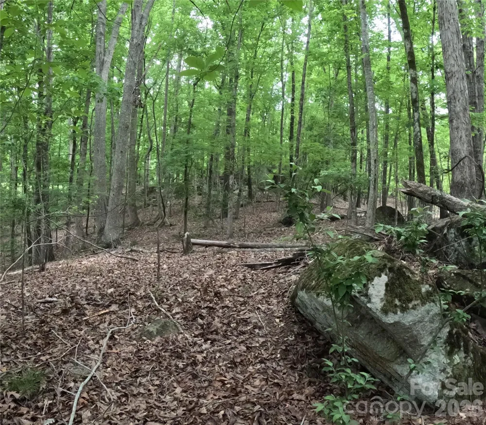 3111 Catawba Road Great Falls, SC 29055