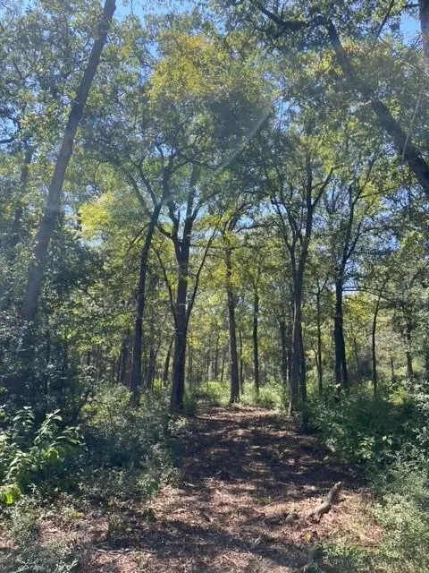 Sawmill Road Franklin, TX 77856