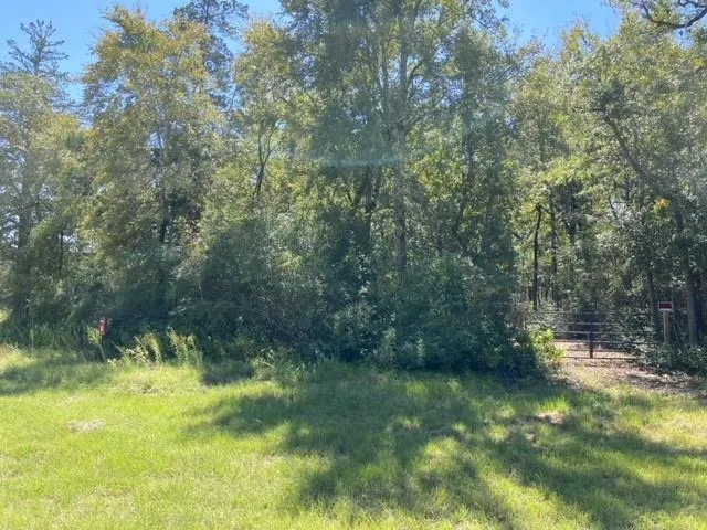 Sawmill Road Franklin, TX 77856
