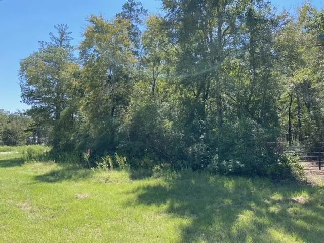 Sawmill Road Franklin, TX 77856