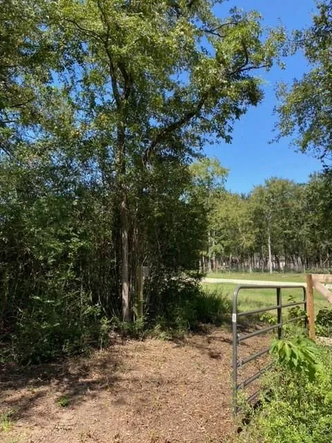 Sawmill Road Franklin, TX 77856