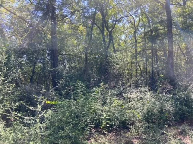 Sawmill Road Franklin, TX 77856