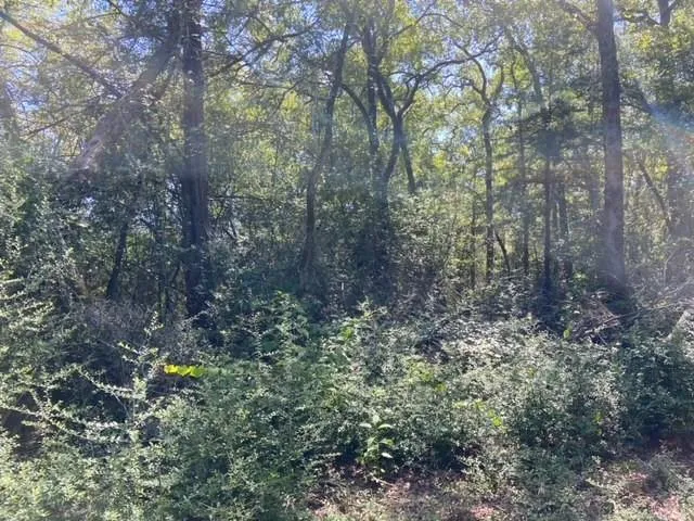 Sawmill Road Franklin, TX 77856