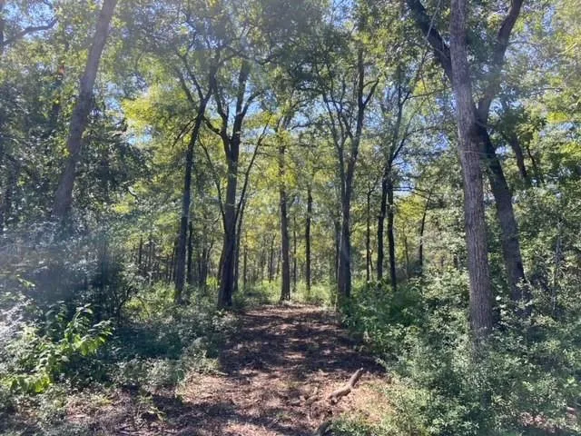 Sawmill Road Franklin, TX 77856