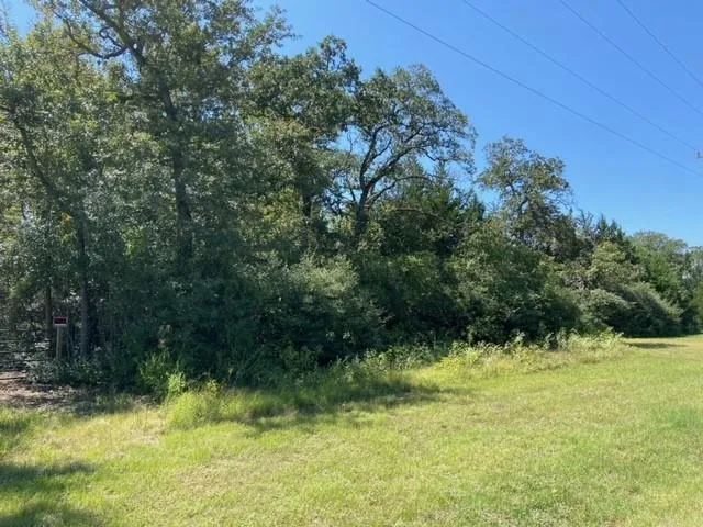 Sawmill Road Franklin, TX 77856