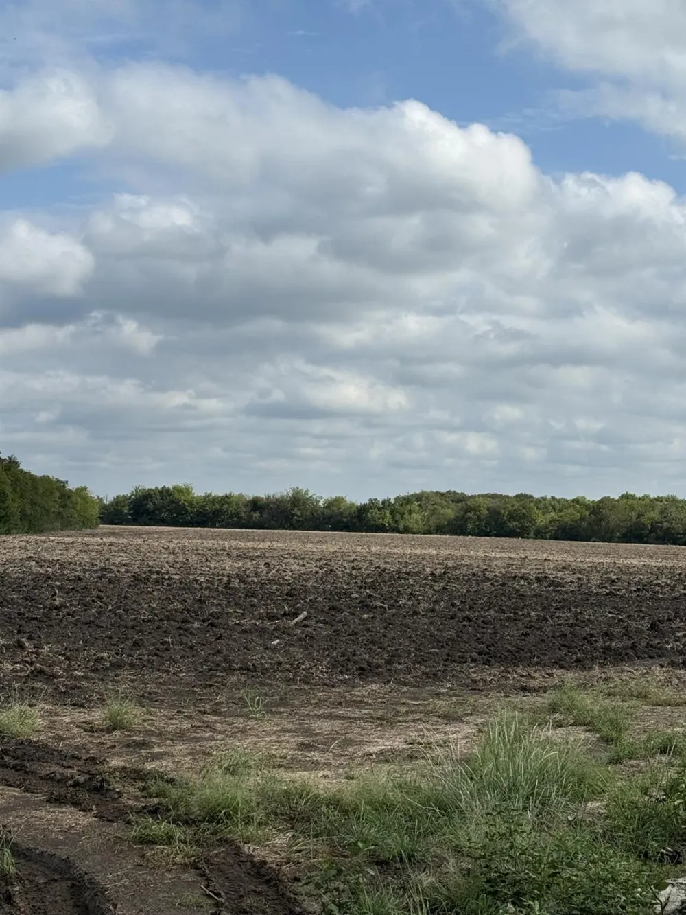 51 County Road 3603 Quinlan, TX 75474