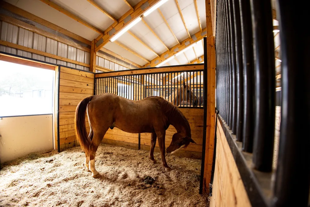 370 VZ County Road 4134 Canton, TX 75103