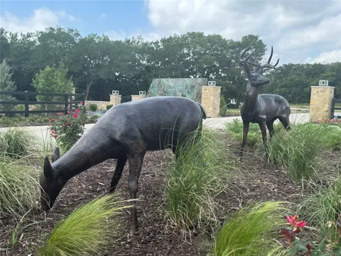 Buck Trail