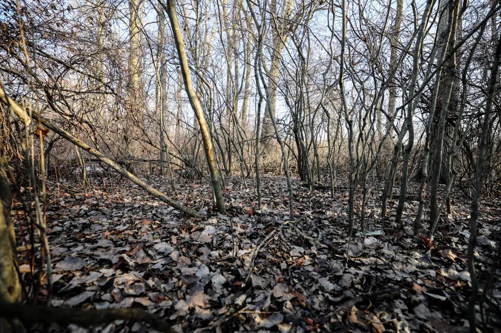 1767 Flanders Road Eaton Township, MI 48813
