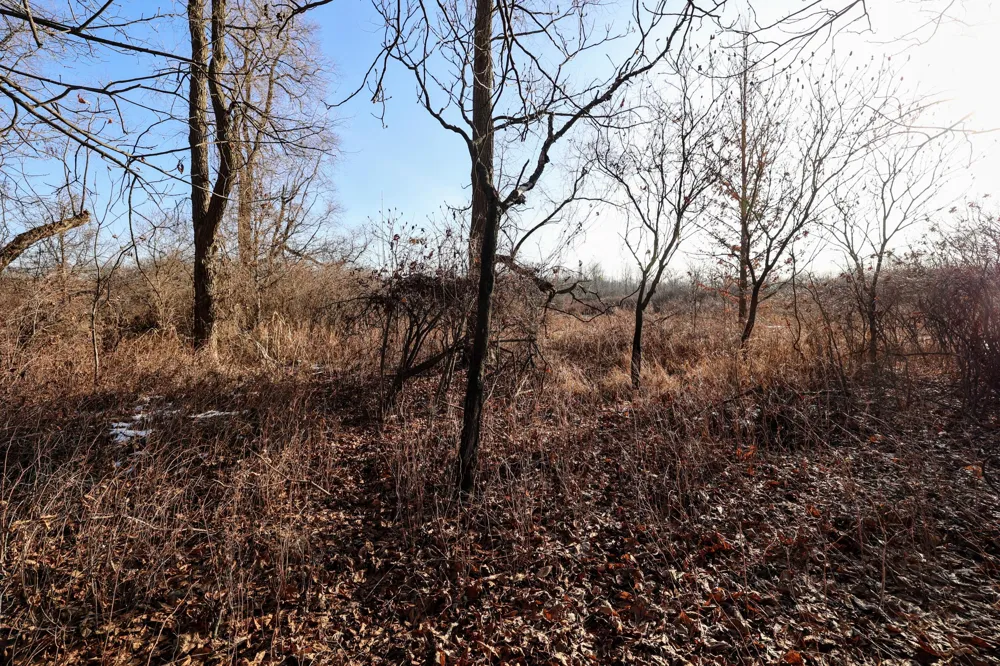 1767 Flanders Road Eaton Township, MI 48813