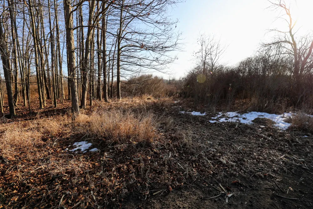 1767 Flanders Road Eaton Township, MI 48813